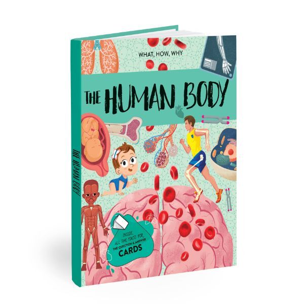 Sassi | Book & Poster Set - What, How, Why