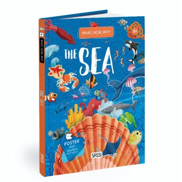 Sassi | Book & Poster Set - What, How, Why