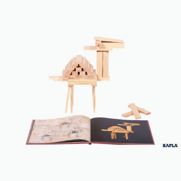 KAPLA | Art Books - Alex and Moo