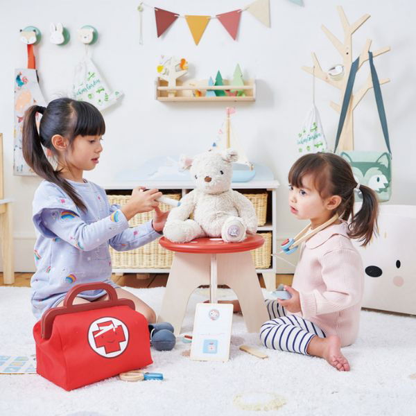 Tender Leaf Toys | Doctor's Bag - Alex and Moo
