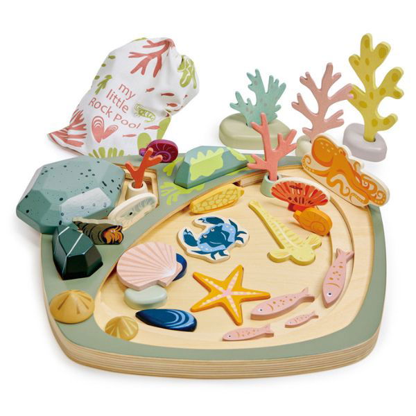 Tender Leaf Toys | My Little Rock Pool - Alex and Moo