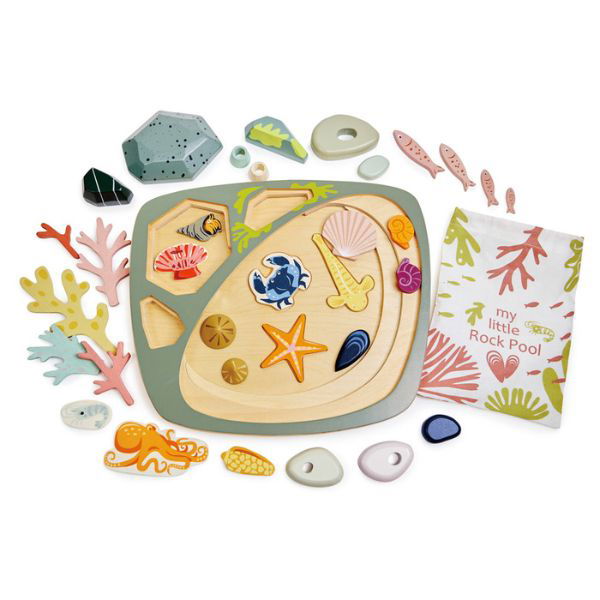 Tender Leaf Toys | My Little Rock Pool - Alex and Moo