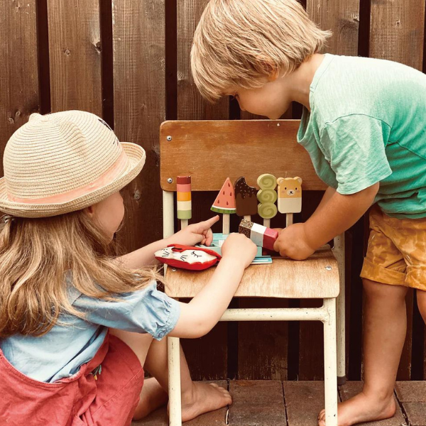 Tender Leaf Toys | Play Pay Pack - Alex and Moo