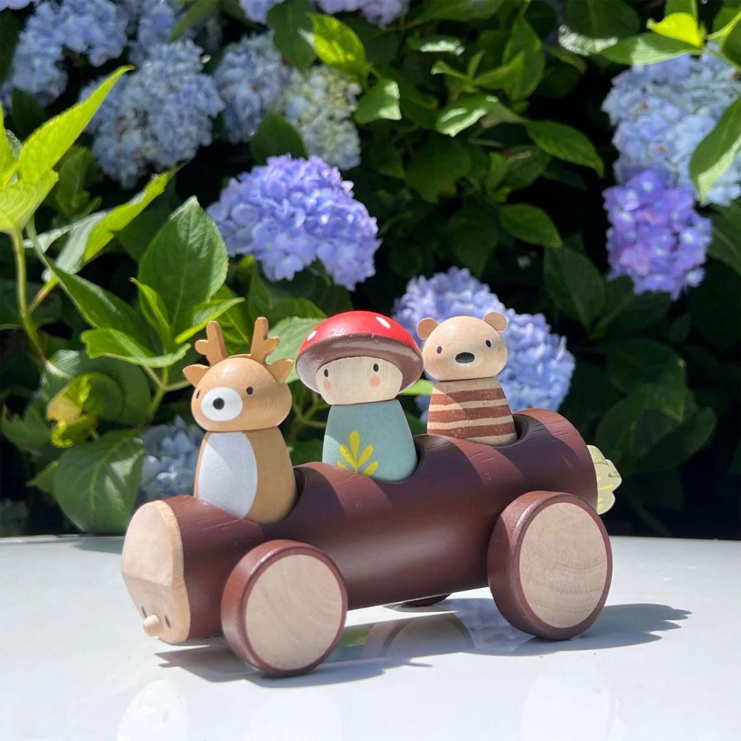 Tender Leaf Toys | Timber Taxi - Alex and Moo