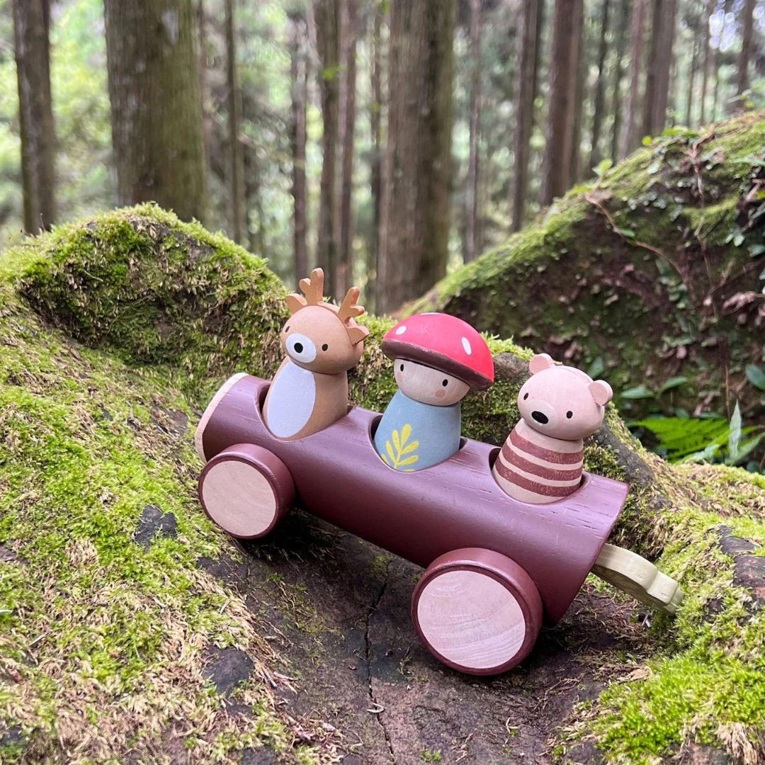 Tender Leaf Toys | Timber Taxi - Alex and Moo