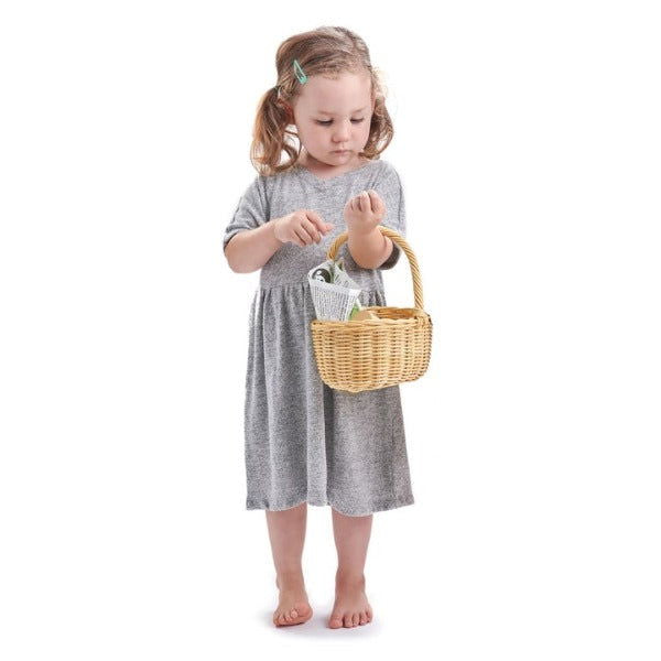 Tender Leaf Toys | Wicker Shopping Basket Set - Alex and Moo